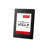U.2 SSD 4TG2-P