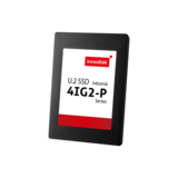 U.2 SSD 4IG2-P
