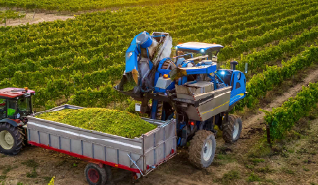 A NEW AGRICULTURAL REVOLUTION THROUGH AI-POWERED SOLUTIONS