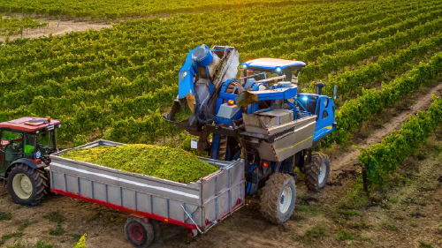 A New Agricultural Revolution Through AI-powered Solutions