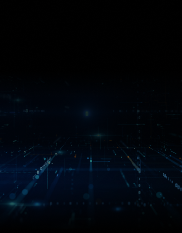 CUSTOMIZATION SERVICES